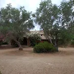 לינה וארוחת בוקר Animosque 3*