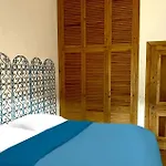 Animosque