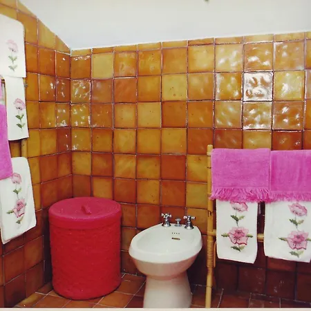 Bed & Breakfast Animosque 3*